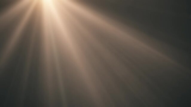 Warm light rays looping animated background