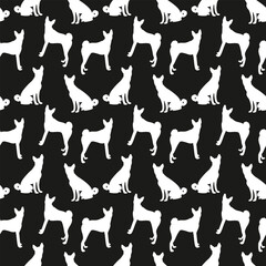 Black and white pattern with Basenji. Elegant, soft seamless background, abstract background. Birthday present wrapping paper. Fashion decoration. Dog white silhouettes background, popular pet icon.