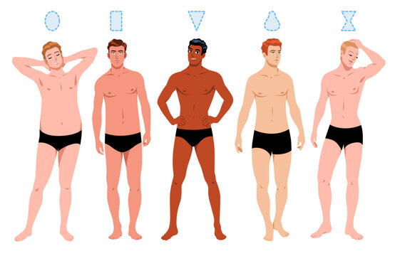 Male figures types. Different ratio of volume of chest, waist and hips, cartoon men in underwear, body proportions, schemes rectangle, triangle and hourglass, pear and round tidy vector set