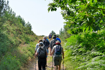 Groupe de randonneurs seniors dans la forêt de Penhoat au-dessus du Trieux - Bretagne France