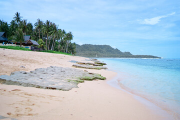 Tropical beach with coconut palm trees.