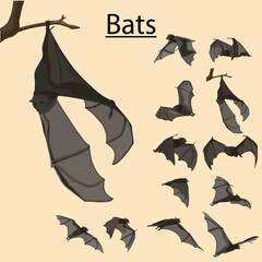 bats for halloween
