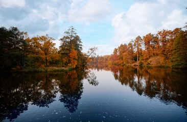 Fototapeta na wymiar Colors of fall. Beautiful autumn landscape with forest and lake.