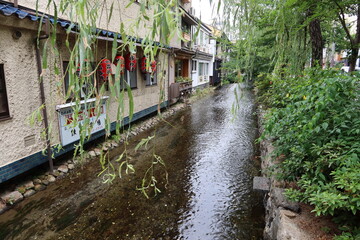 Fototapeta na wymiar A scene of Takase-gawa Stream and Japanese sentiments in Kyoto　京都の高瀬川の風景と日本情緒