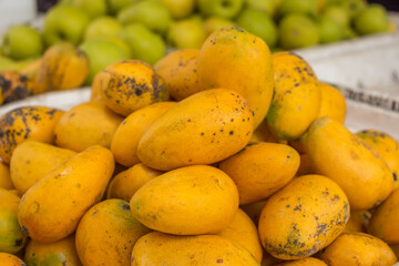 Close-Up on Small and Delicious Chinese Kidney Mangoes