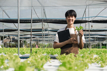 farmer with checking sustainable farming growth, progress or preparing farm export order on tech. gardener and greenhouse