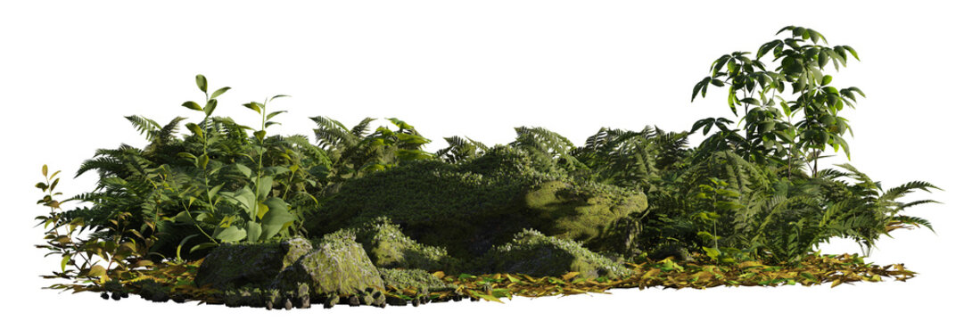 rocky forest floor with plants and rocks isolated on transparent background banner 