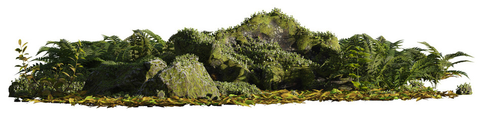 rocky forest floor with plants and rocks isolated on transparent background banner