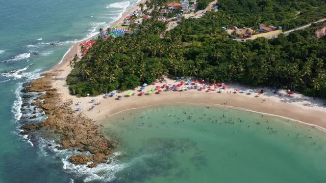 Wide aerial drone bird's eye lowering dolly in shot of the famous tropical Coqueirinhos beach in Paraiba, Brazil with colorful beach umbrellas for tourists, palm trees, golden sand and turquoise water