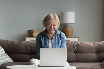 Smiling elderly woman plan travel, booking hotels, buy tickets through website, read commercial...