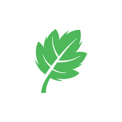 grape leaf icon