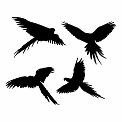 Obraz premium Vector illustration of black bird silhouette. Isolated white background.