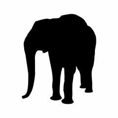 Fototapeta premium Vector illustration of a black silhouette elephant. Isolated white background. Icon elephant side view profile.