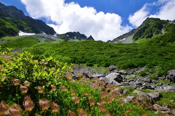 夏山登山 北アルプス 涸沢カール