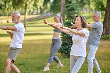 Fototapeta premium A group of people practicing yoga in a park
