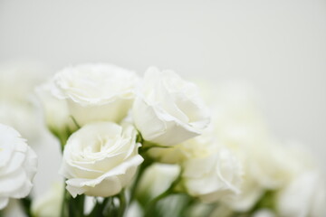 Obraz na płótnie Canvas bouquet of roses on white background