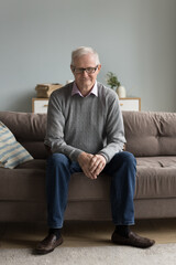 Vertical shot sad older man in glasses looks deep in thoughts resting at home seated alone on sofa,...