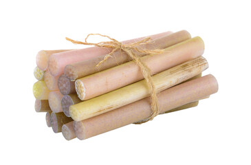 lotus stem on transparent png