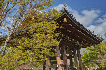 智積院の鐘楼と紅葉