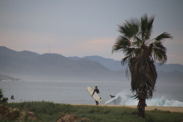 Morning Surf