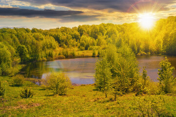 Fototapeta premium pond in the forest at sunset. countryside nature scenery with trees on the shore in evening light
