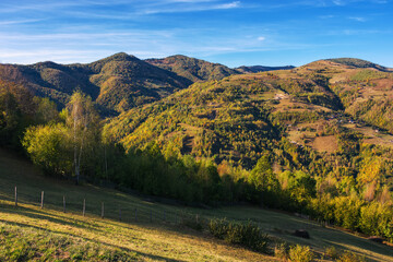 Naklejka premium mountainous landscape in autumn. trees on the grassy hills. beautiful outdoor scenery of romanian carpathian countryside