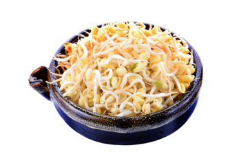 Sprouts on transparent png