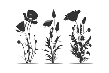 Three black silhouettes of flowers. Vector illustration design.