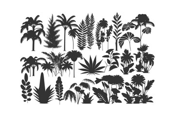 Fototapeta na wymiar Set of black silhouettes of tropical leaves palms tree. Vector illustration design.