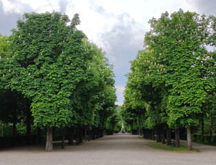 Fototapeta na wymiar palace gardens in spring green colors