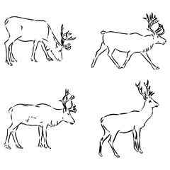 set of silhouettes of deer