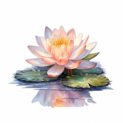 Soft and dreamy watercolor depiction of a water lily flower