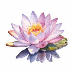Captivating watercolor illustration featuring the grace of a water lily