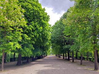 palace gardens in spring green colors