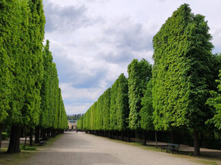 Fototapeta premium palace gardens in spring green colors