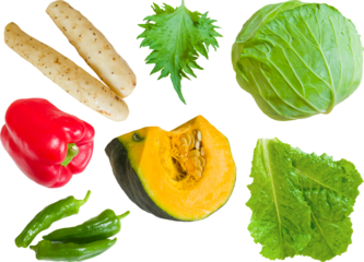 切り抜き透過素材セットー野菜7