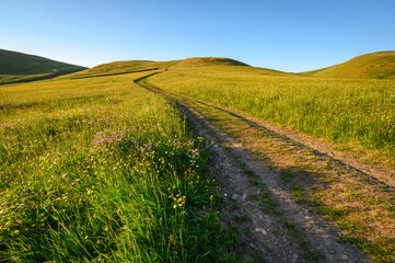 Farm Track through Barrowburn Hay Meadows.  The upland Hay Meadows of Northumberland National Park in the Cheviot Hills at Barrowburn are rare and is a SSSI