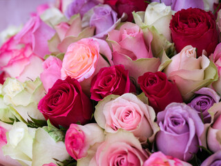 Beautiful bouquet of red, pink, white and purple roses.