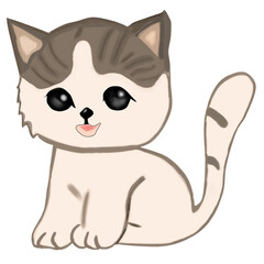 แมวน้อยน่ารัก