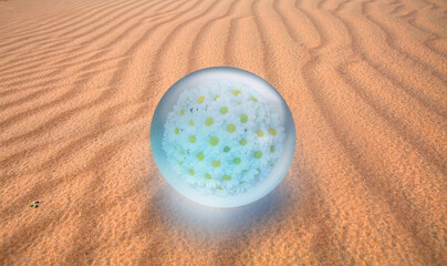 A bouquet of daisy flowers inside a crystal ball on sand dune