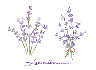 Naklejka premium Set of lavender flowers elements