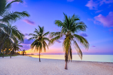 Smathers Beach, Sunrise.beautifully  framed by Palm Trees..Key West, Florida, USA - obrazy, fototapety, plakaty
