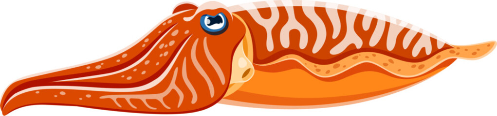 Cartoon cuttlefish sea animal. Isolated vector intelligent and camouflaging creature with its unique ability to change color and shape, navigates the ocean depths, showcasing its mesmerizing behavior - obrazy, fototapety, plakaty
