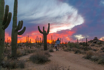 Hikers On A Desert Trail At Sunrise Time In Scottsdale Arizona