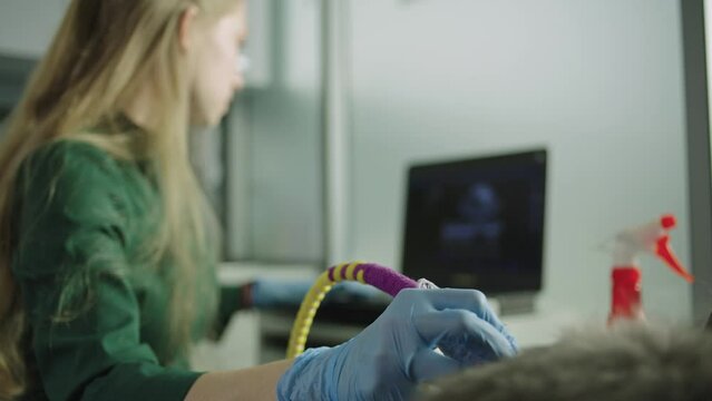 A veterinarian examines an animal with a medical scan in a veterinary clinic. High quality 4k footage
