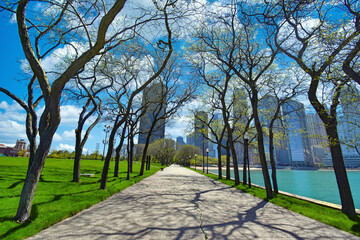 Fototapeta na wymiar Chicago Park 