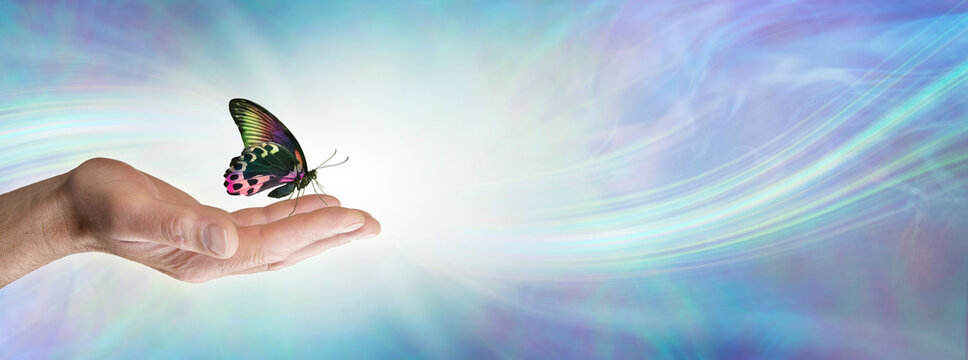 Special moment with a Butterfly spiritual message memo background - colorful butterfly sitting resting on a man's open palm hand against a flowing blue energy background and copy space for text
