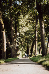 Konrad-Adenauer-Allee, Augsburg, Bayern, Deutschland, Spatzierweg, Parkweg
