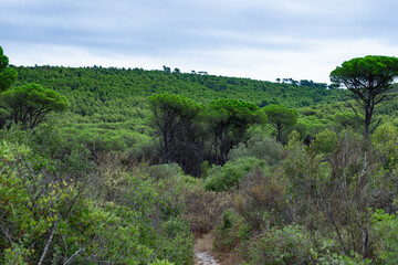 Parc Natural del Montgrí
Parc naturel de Montgri, à proximité de l'Escala. - 617026317