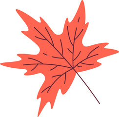Maple Leaf Icon